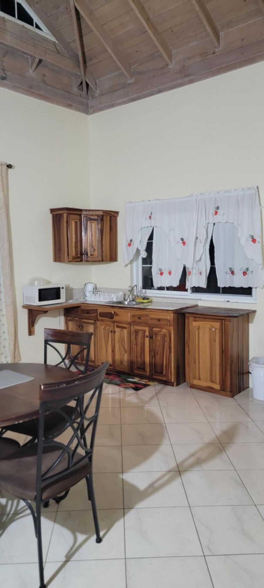 Wizzy Apartment White River Ocho Rios Exterior photo