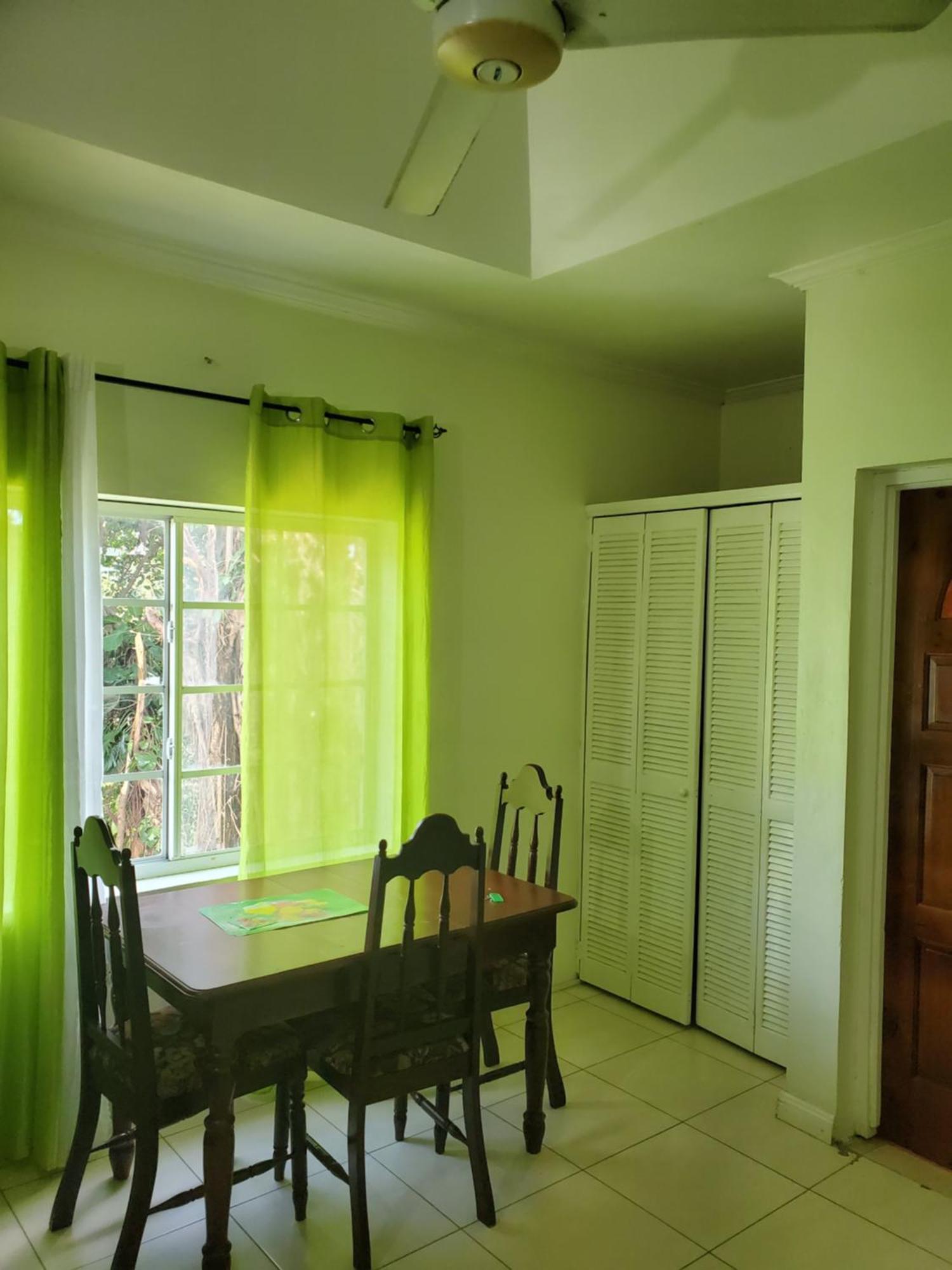 Wizzy Apartment White River Ocho Rios Exterior photo