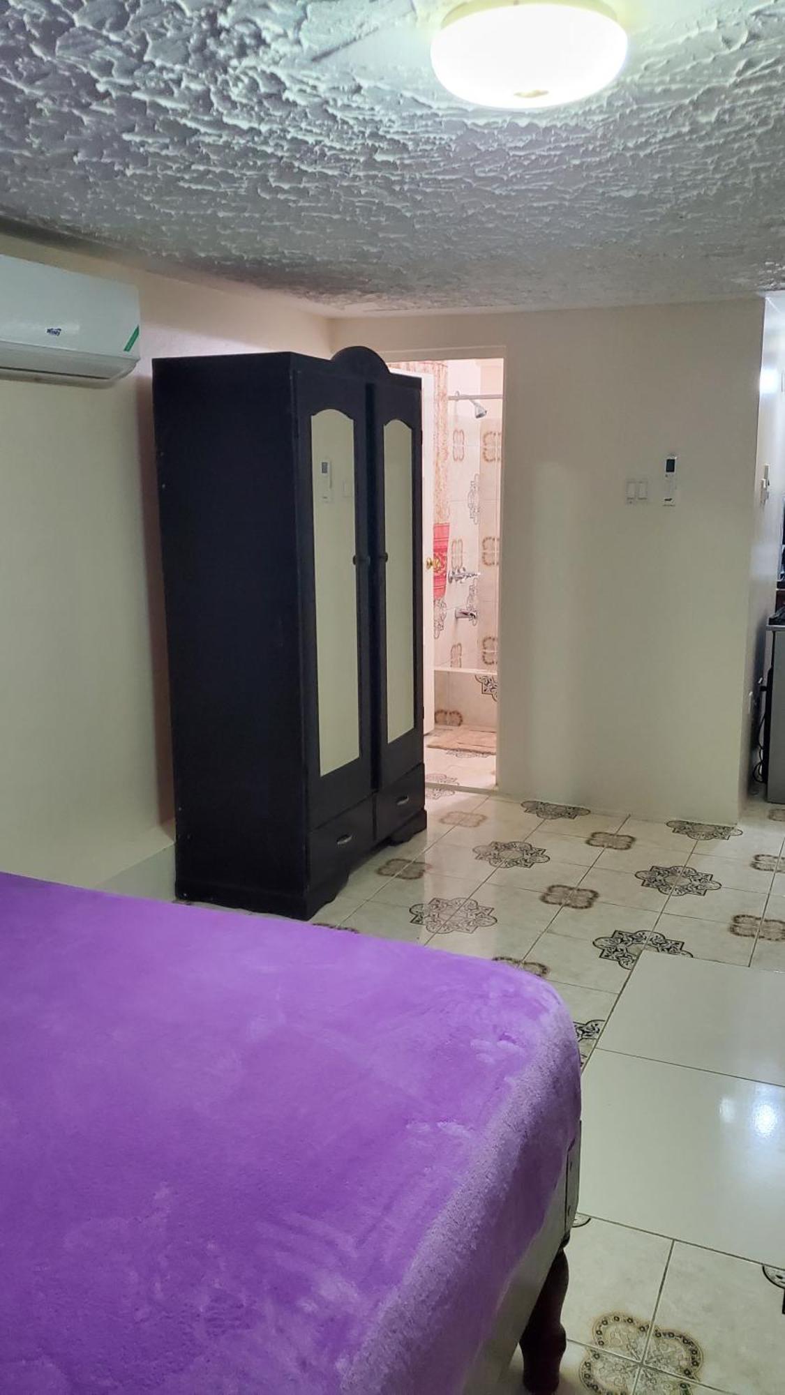 Wizzy Apartment White River Ocho Rios Room photo