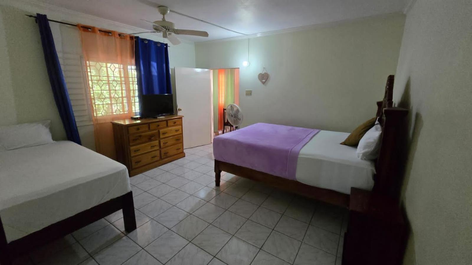 Wizzy Apartment White River Ocho Rios Room photo