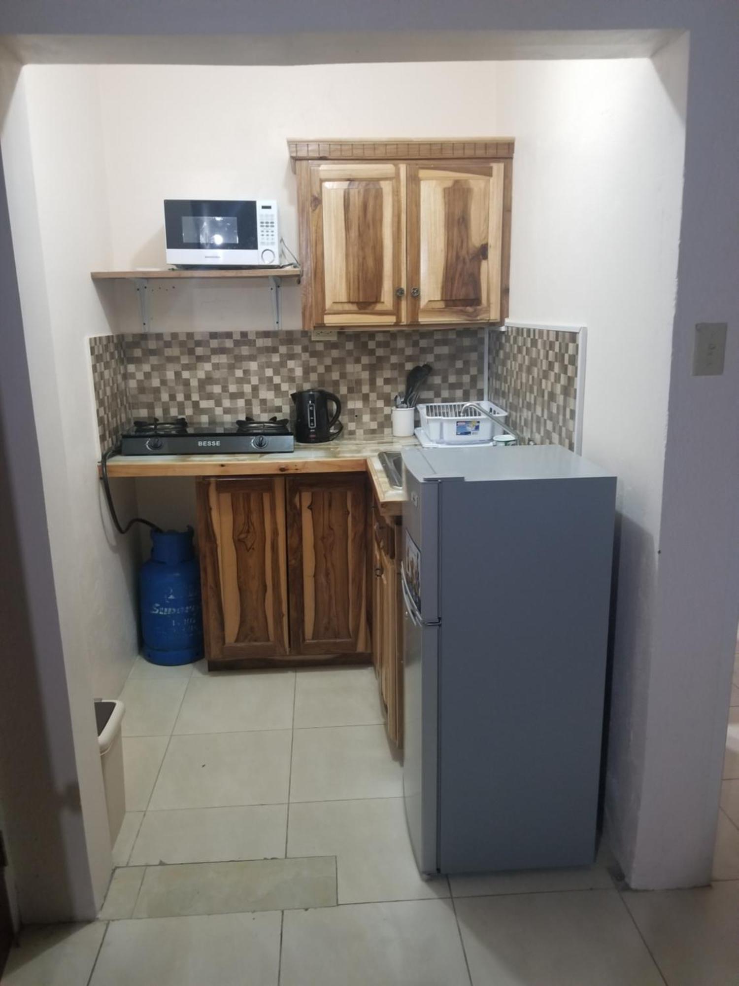 Wizzy Apartment White River Ocho Rios Exterior photo