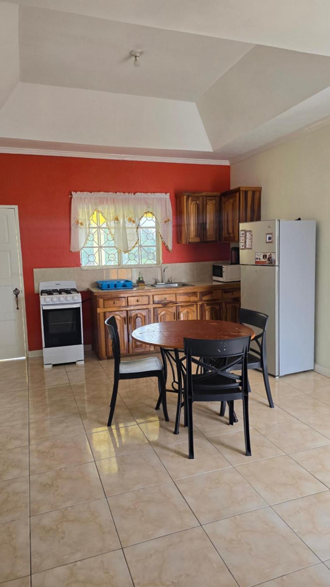 Wizzy Apartment White River Ocho Rios Exterior photo