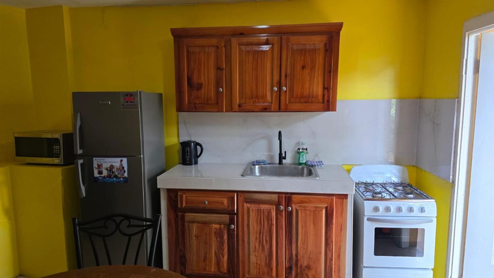 Wizzy Apartment White River Ocho Rios Exterior photo